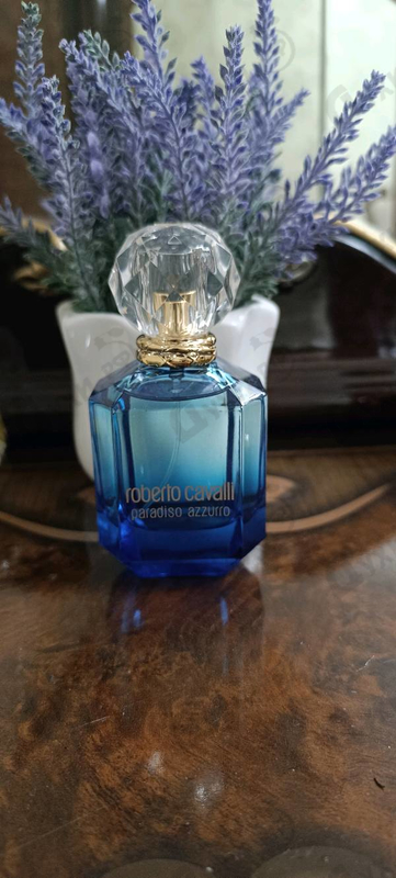 Отзыв Roberto Cavalli Paradiso Azzurro