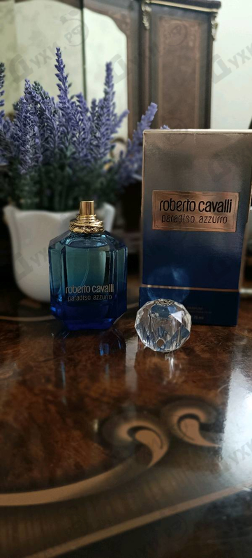 Духи Paradiso Azzurro от Roberto Cavalli