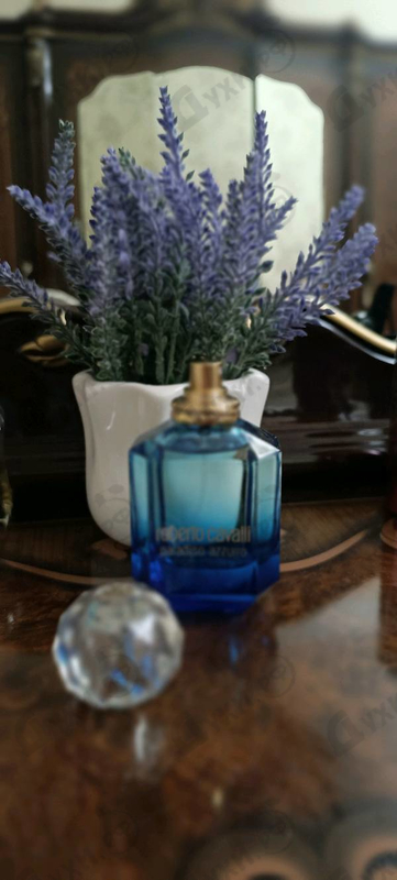 Купить Paradiso Azzurro от Roberto Cavalli