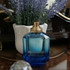 Купить Paradiso Azzurro от Roberto Cavalli