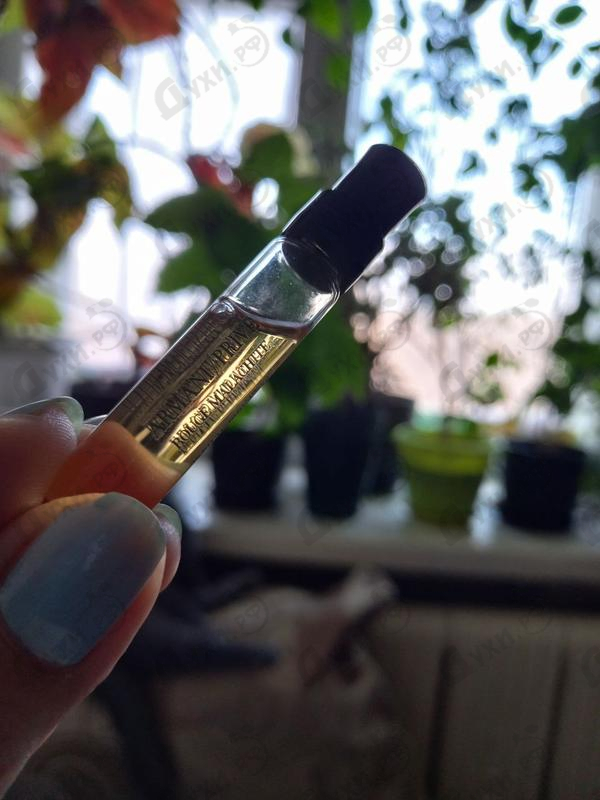 Отзывы Giorgio Armani Prive Rouge Malachite Купить Prive Rouge Malachite от Giorgio Armani