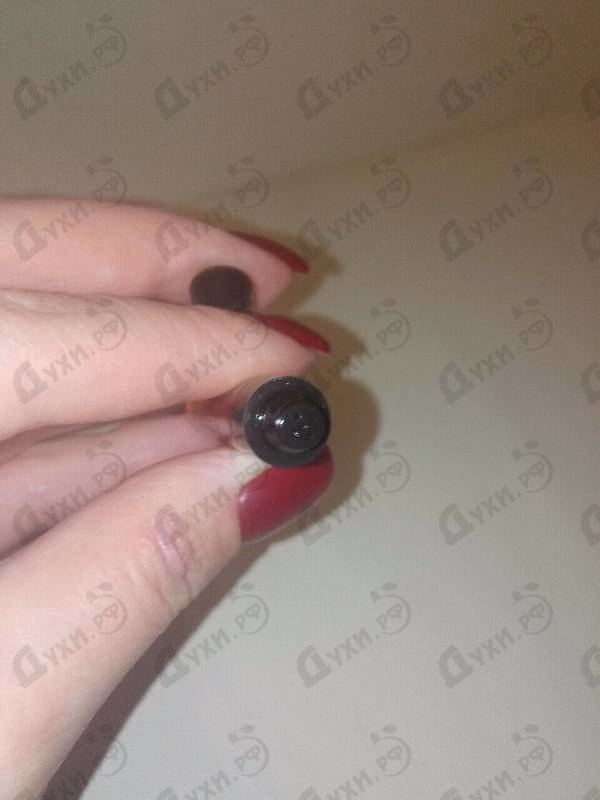 Парфюм Giorgio Armani Prive Vert Malachite Купить Prive Vert Malachite от Giorgio Armani