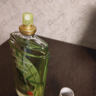 Духи Green Tea Bamboo от Elizabeth Arden