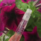 Отзыв Vince Camuto Vince Camuto Femme