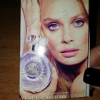 Парфюм Vince Camuto Vince Camuto Femme