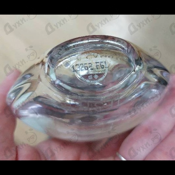 Купить Vince Camuto Vince Camuto Femme Парфюмерия Vince Camuto Femme от Vince Camuto