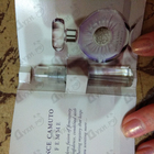 Отзыв Vince Camuto Vince Camuto Femme