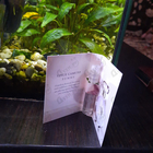 Парфюм Vince Camuto Vince Camuto Femme