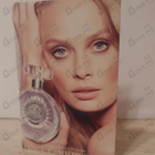 Парфюм Vince Camuto Vince Camuto Femme