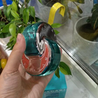 Отзыв Bvlgari Omnia Paraiba