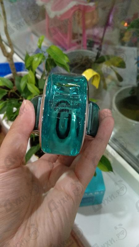 Духи Omnia Paraiba от Bvlgari Отзыв Bvlgari Omnia Paraiba