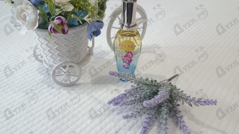Парфюмерия Agua Del Sol от Escada Отзывы Escada Agua Del Sol