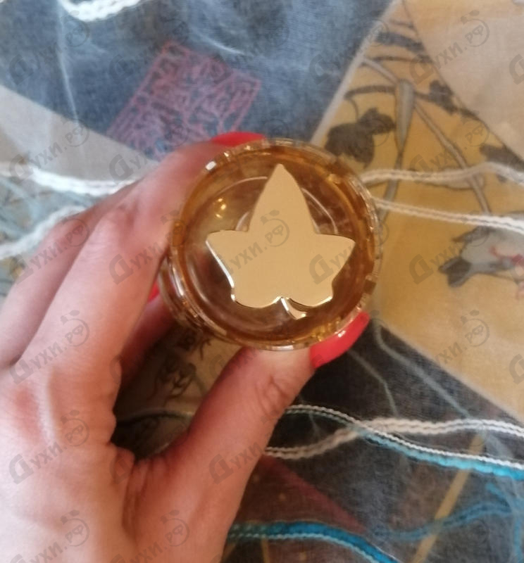 Парфюмерия Elle L'aime от Lolita Lempicka Купить Lolita Lempicka Elle L'aime