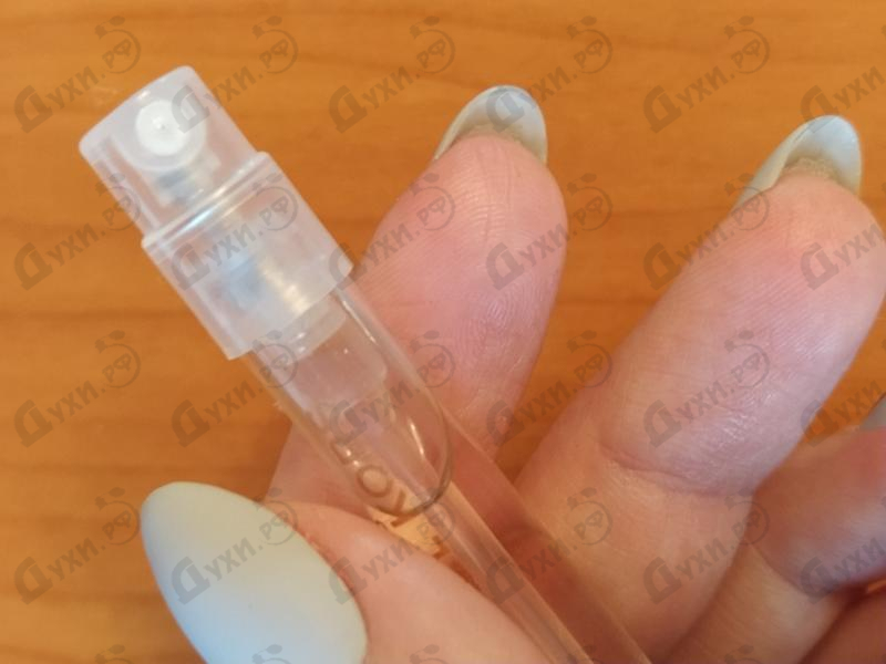 Купить Rose Radiant Gold от Michael Kors Отзывы Michael Kors Rose Radiant Gold