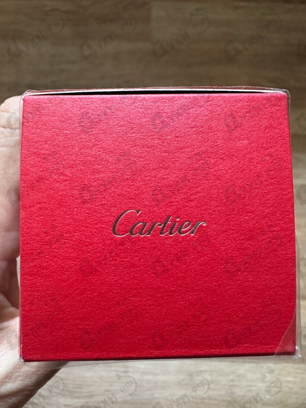 Купить Pasha Edition Noire Sport от Cartier