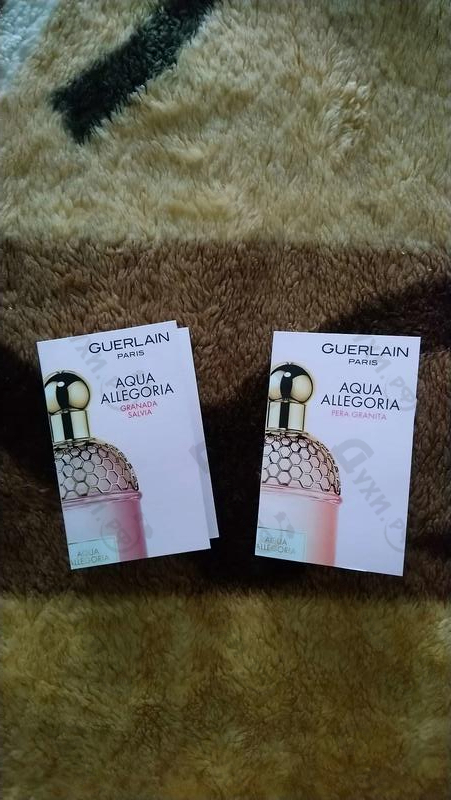 Отзывы Guerlain Aqua Allegoria Pera Granita