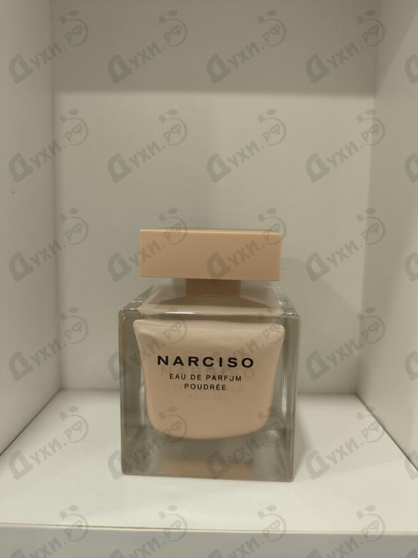 Купить Poudree от Narciso Rodriguez