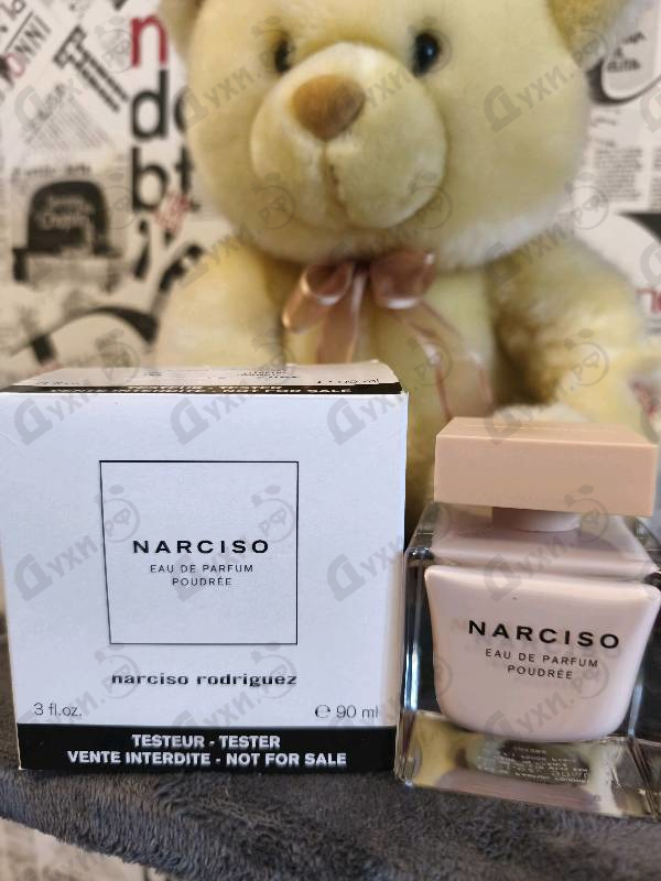 Купить Poudree от Narciso Rodriguez