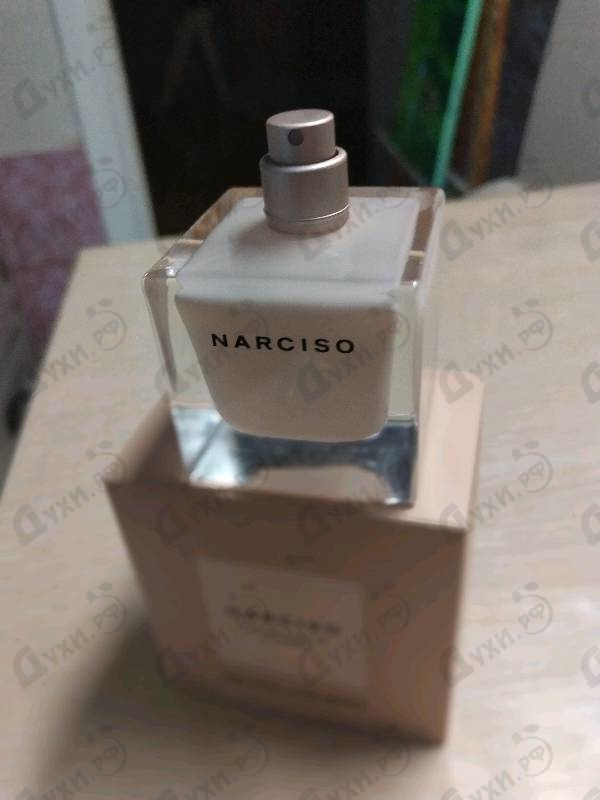 Купить Poudree от Narciso Rodriguez