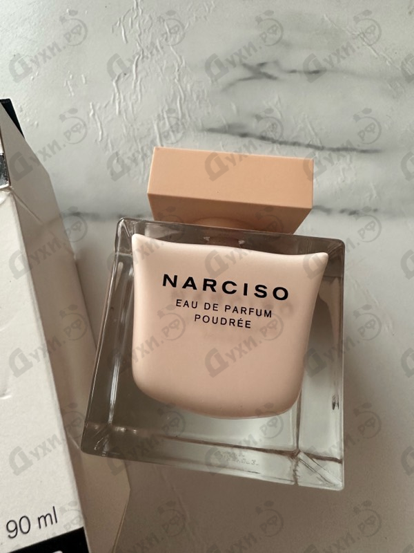 Купить Narciso Rodriguez Poudree