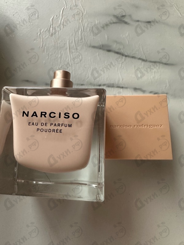 Купить Poudree от Narciso Rodriguez
