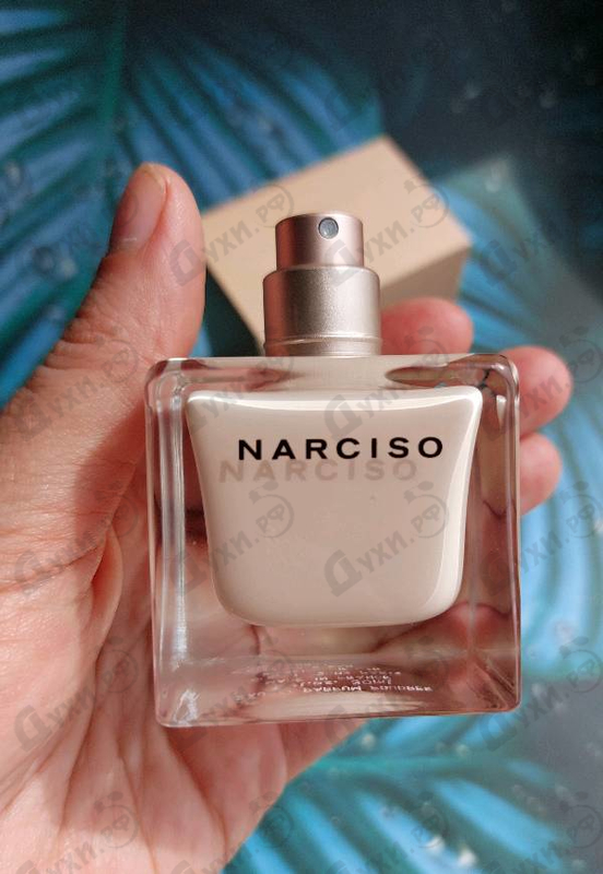 Парфюмерия Narciso Rodriguez Poudree