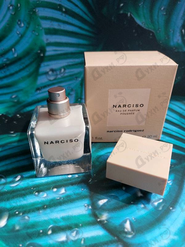Купить Poudree от Narciso Rodriguez