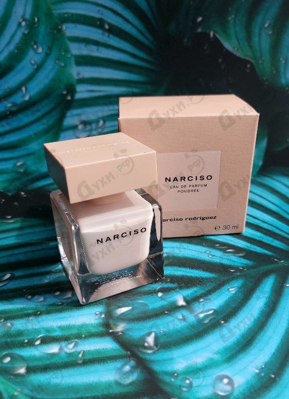 Парфюмерия Narciso Rodriguez Poudree