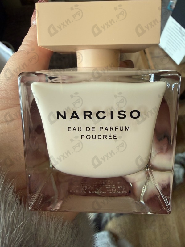 Духи Poudree от Narciso Rodriguez