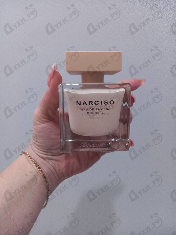 Купить Poudree от Narciso Rodriguez