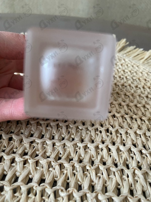 Купить Poudree от Narciso Rodriguez