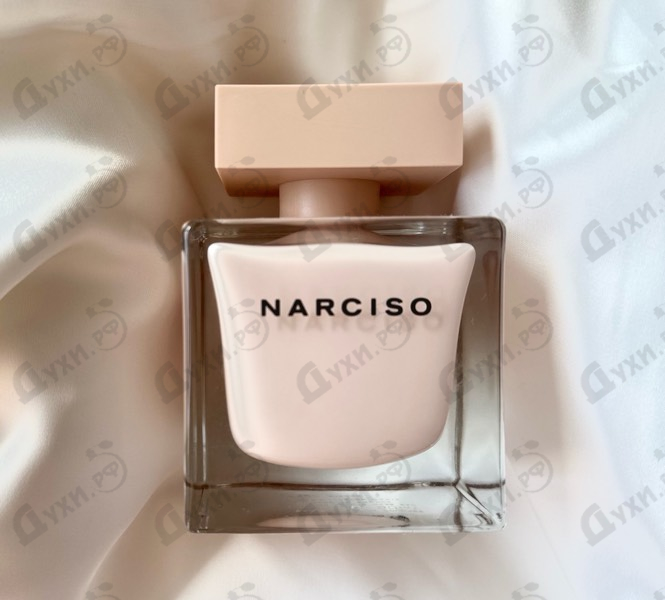 Отзывы Narciso Rodriguez Poudree