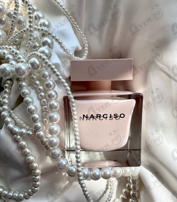 Отзыв Narciso Rodriguez Poudree