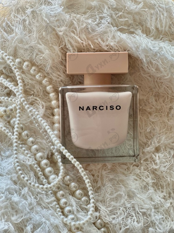 Отзыв Narciso Rodriguez Poudree