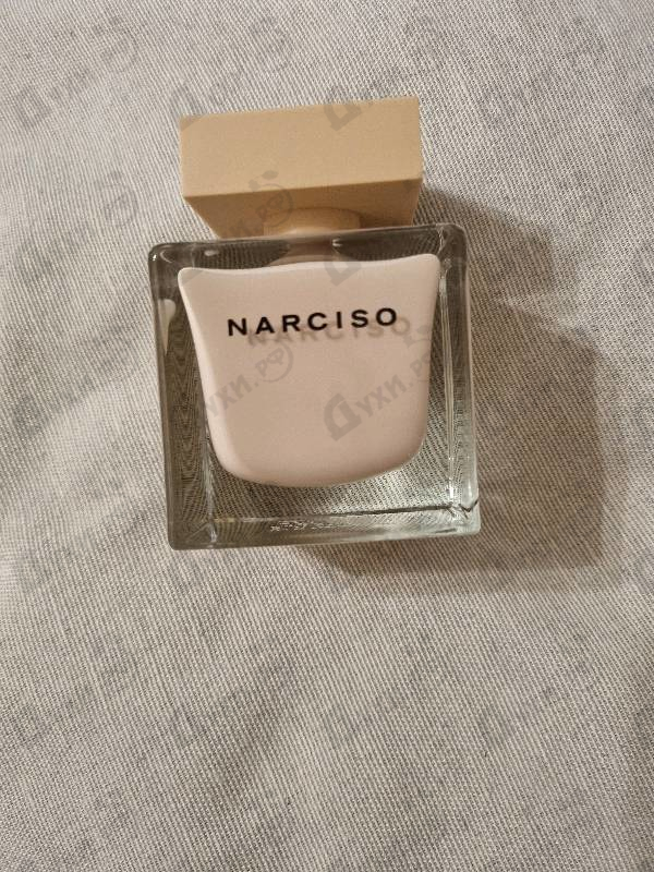 Купить Narciso Rodriguez Poudree