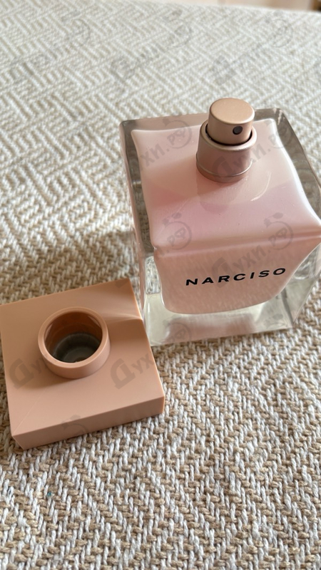 Купить Poudree от Narciso Rodriguez