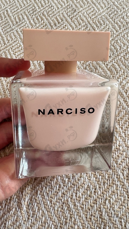 Купить Poudree от Narciso Rodriguez