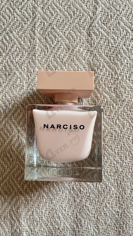 Купить Poudree от Narciso Rodriguez