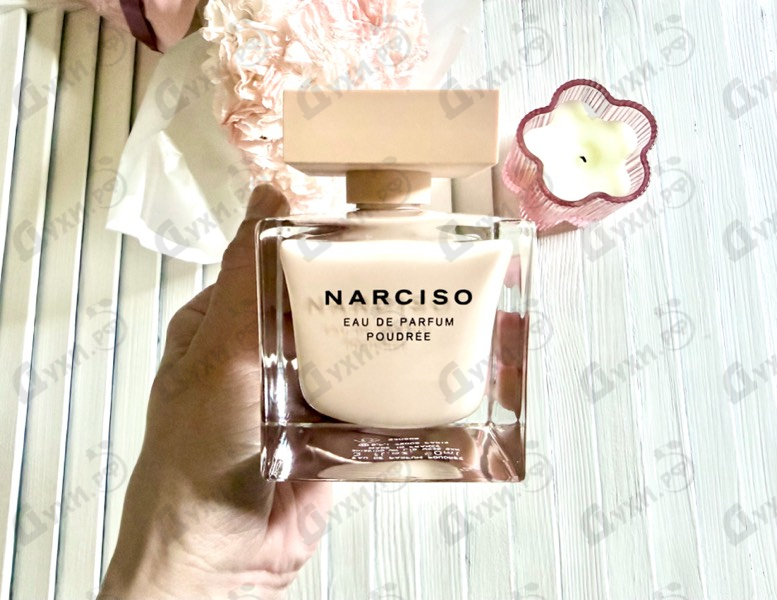 Купить Poudree от Narciso Rodriguez