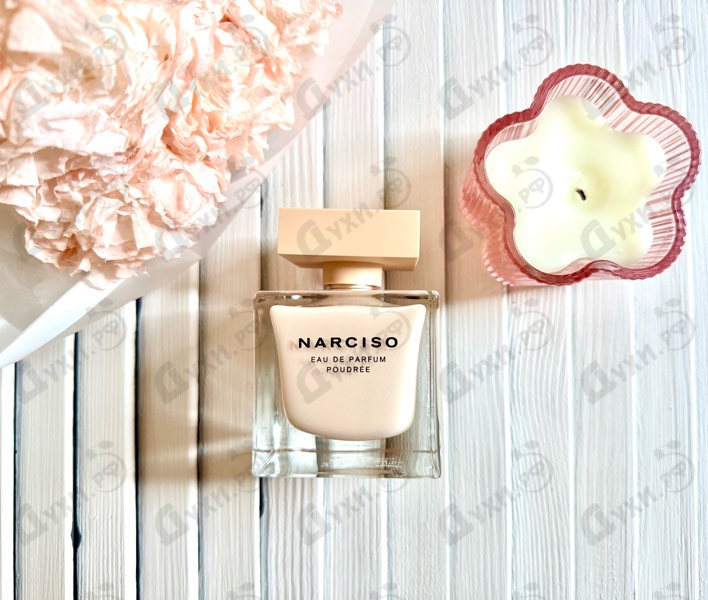 Купить Poudree от Narciso Rodriguez