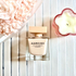 Купить Poudree от Narciso Rodriguez