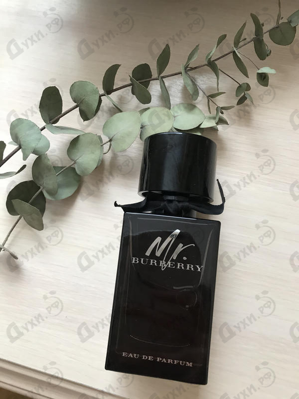 Купить Mr. Burberry от Burberry