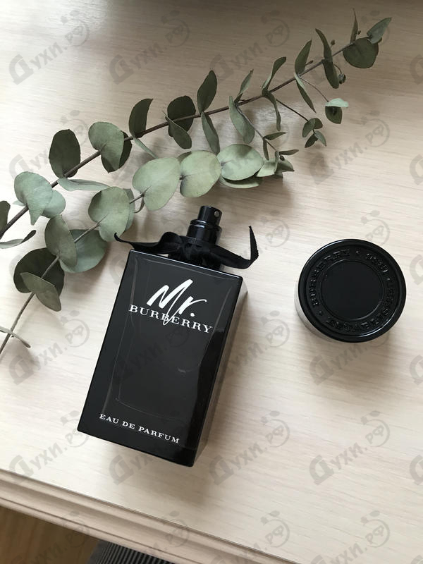 Парфюмерия Mr. Burberry от Burberry