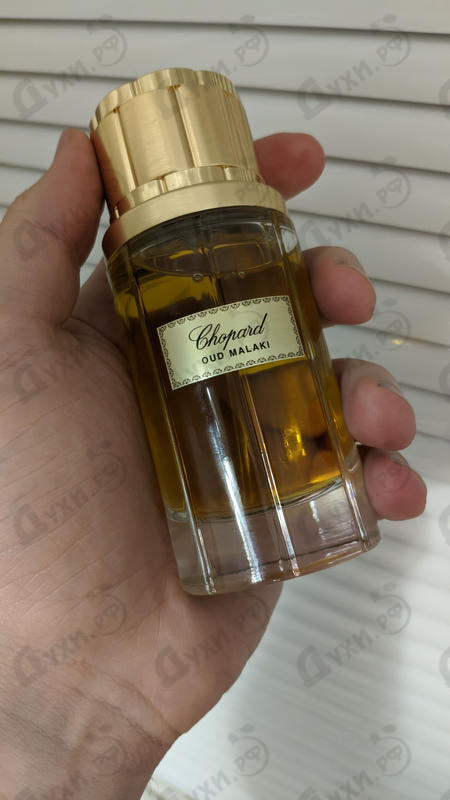 Купить Oud Malaki от Chopard Парфюмерия Chopard Oud Malaki