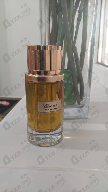 Парфюмерия Oud Malaki от Chopard