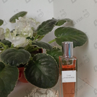 Духи Live Irresistible от Givenchy