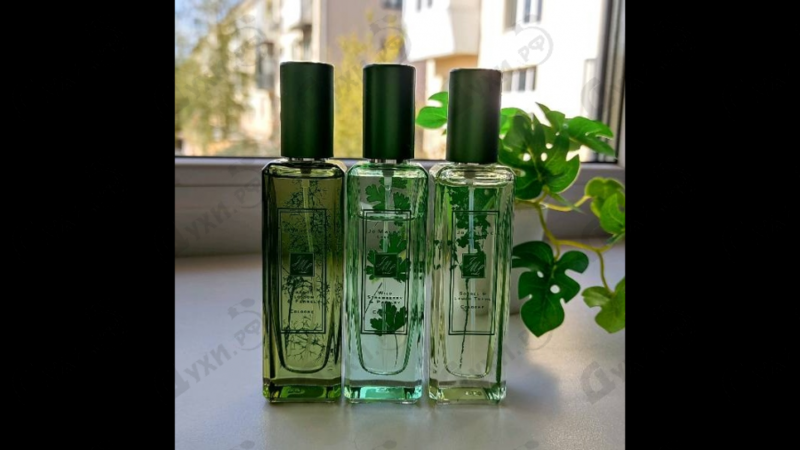 Отзывы Jo Malone Carrot Blossom & Fennel