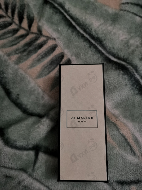 Парфюмерия Lavender & Coriander от Jo Malone Парфюмерия Jo Malone Lavender & Coriander