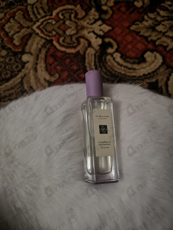 Парфюм Jo Malone Lavender & Coriander Купить Lavender & Coriander от Jo Malone