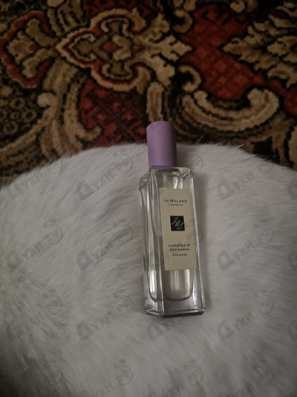 Купить Lavender & Coriander от Jo Malone